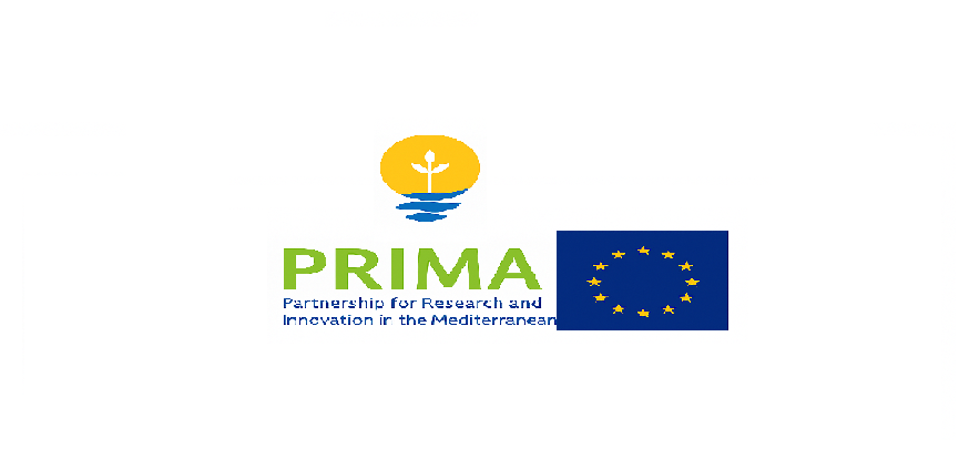 prima4