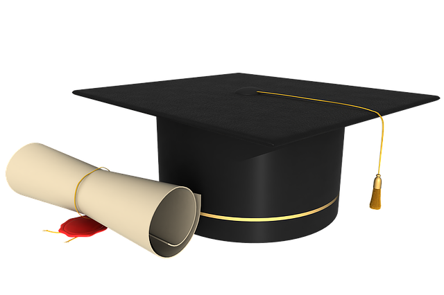 Cérémonie de remise des diplômes aux majors de promotion 2024 ” Licence “