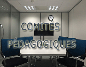 Comités pédagogiques 2024-2025