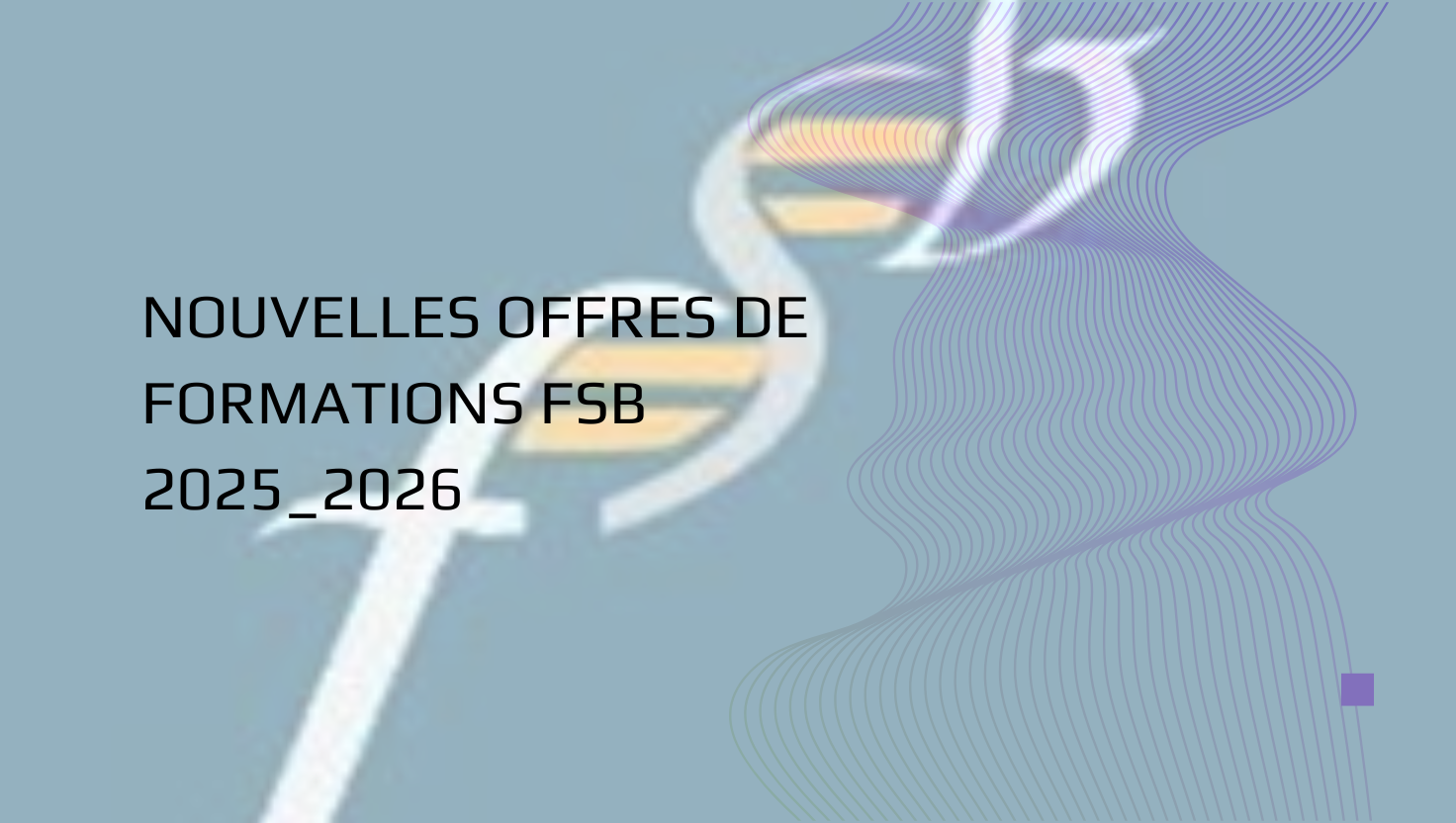 NOUVELLES OFFRES DE FORMATIONS FSB 2025_2026